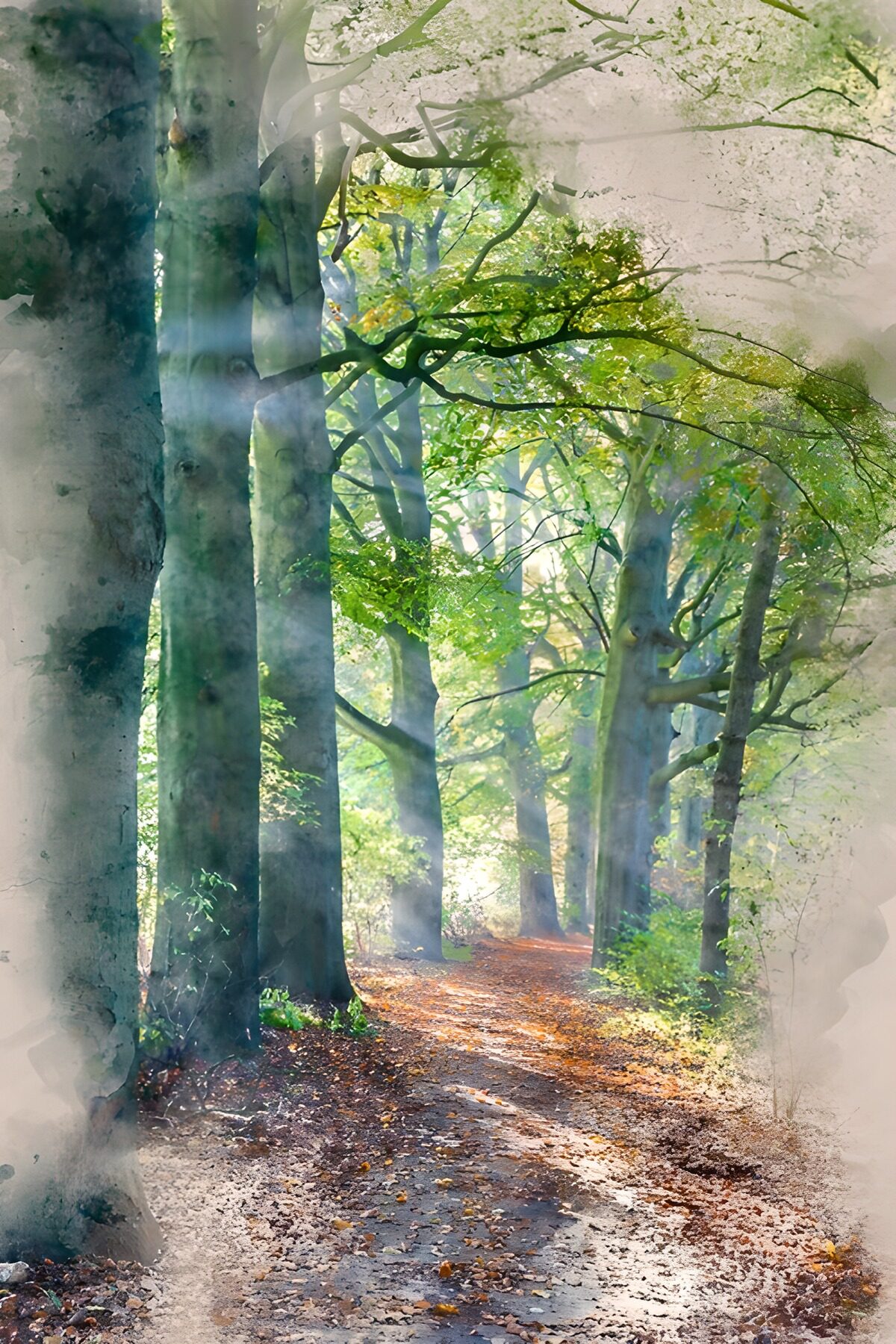 TPDE13477: Mystischer Waldweg im Herbst