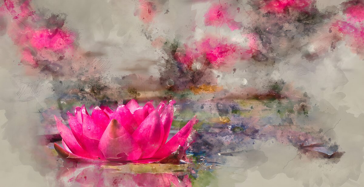 Schöne Seerose in sanften Farben