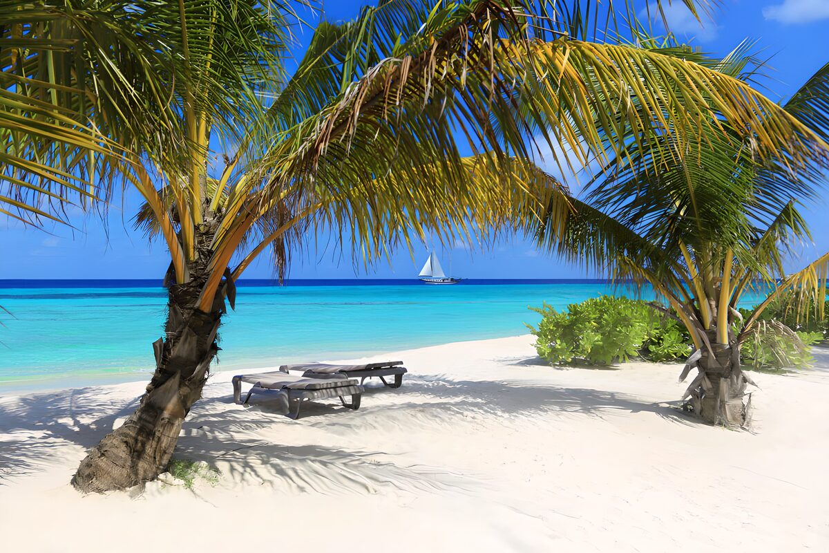 TPDE36801: Ruhe am Strand mit Palmen und Segelboot