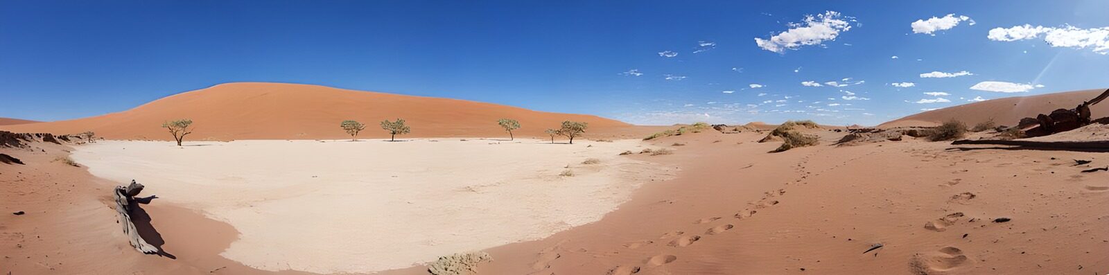 TPDE40466: "das Deadvlei" in der Namib-Wüste mit den Namibsand-Dünen und toten Akazien