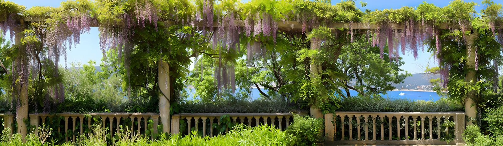TPDE30328: Blühende Wisteria am See