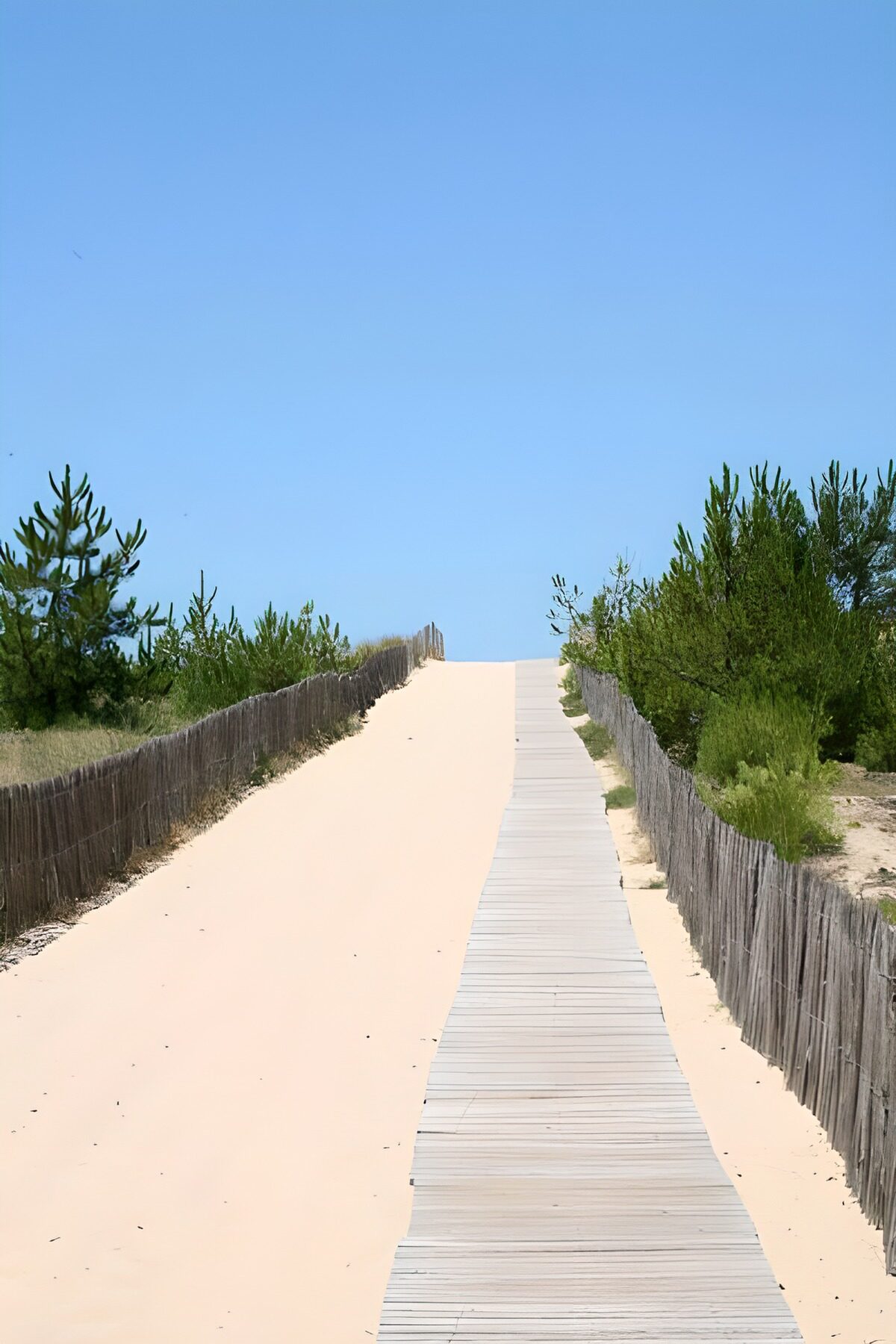 TPDE45426: Pfad zum Strand über Dünen und Weg aus Holzspänen