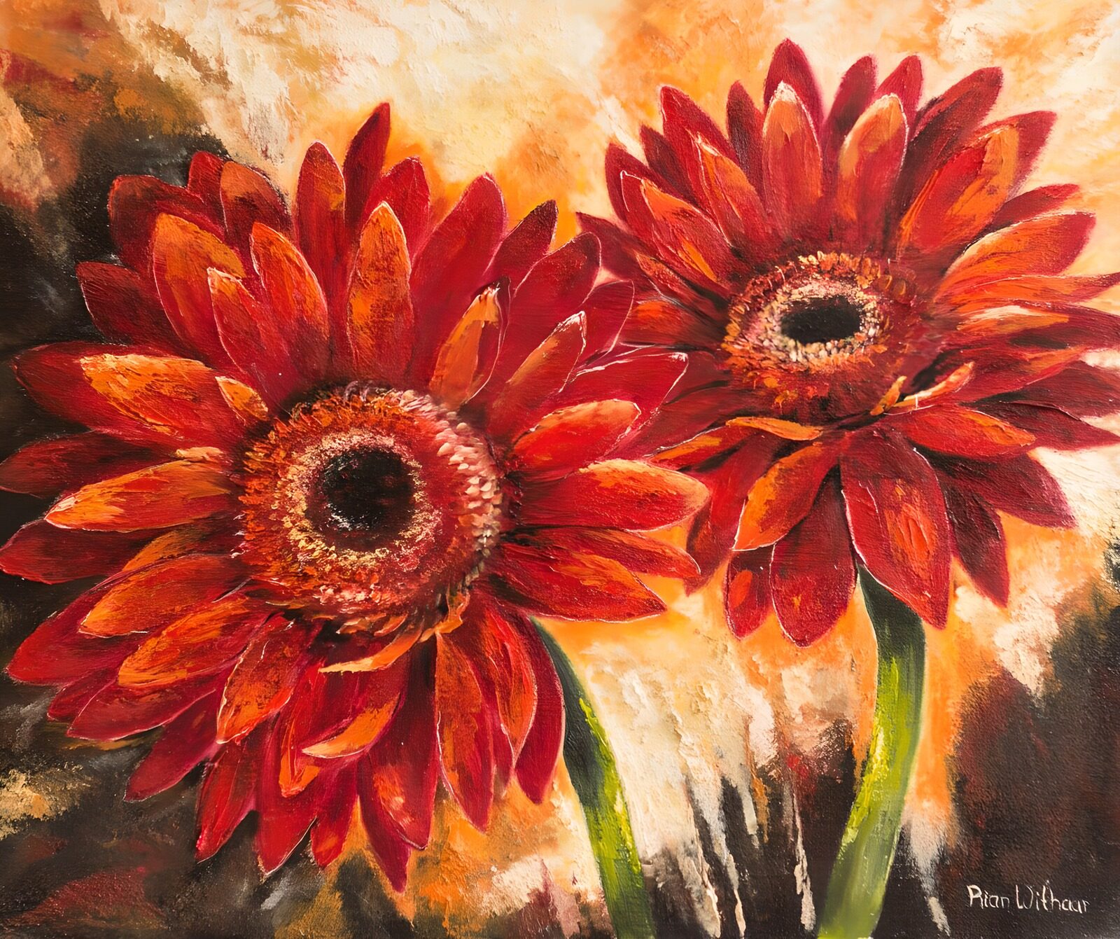 TPDE40503: Leuchtende rote Gerbera-Blüten