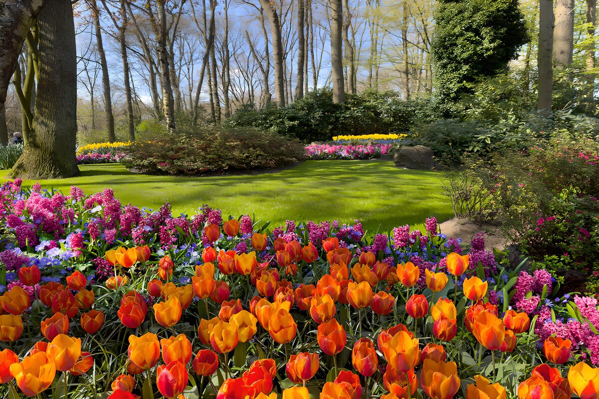 TPDE99880: Farbenfroher Frühlingsgarten