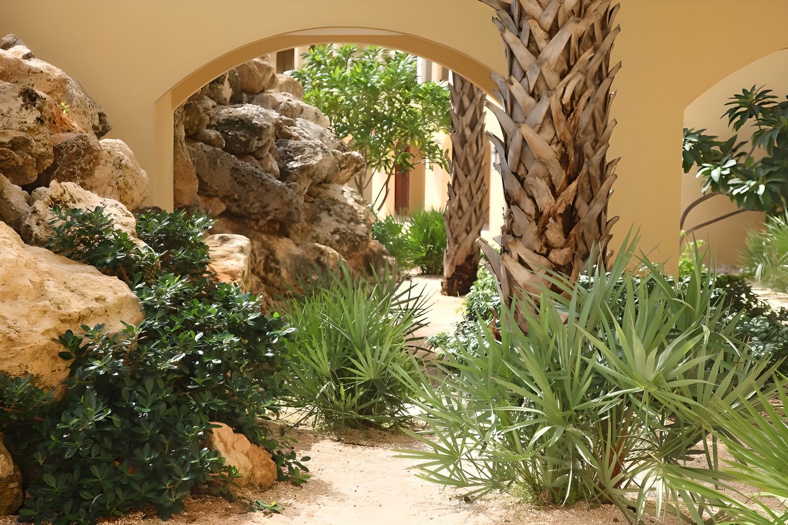 TPDE96257:  mediterranne Pflanzen und Palmen in einem Hotelgarten