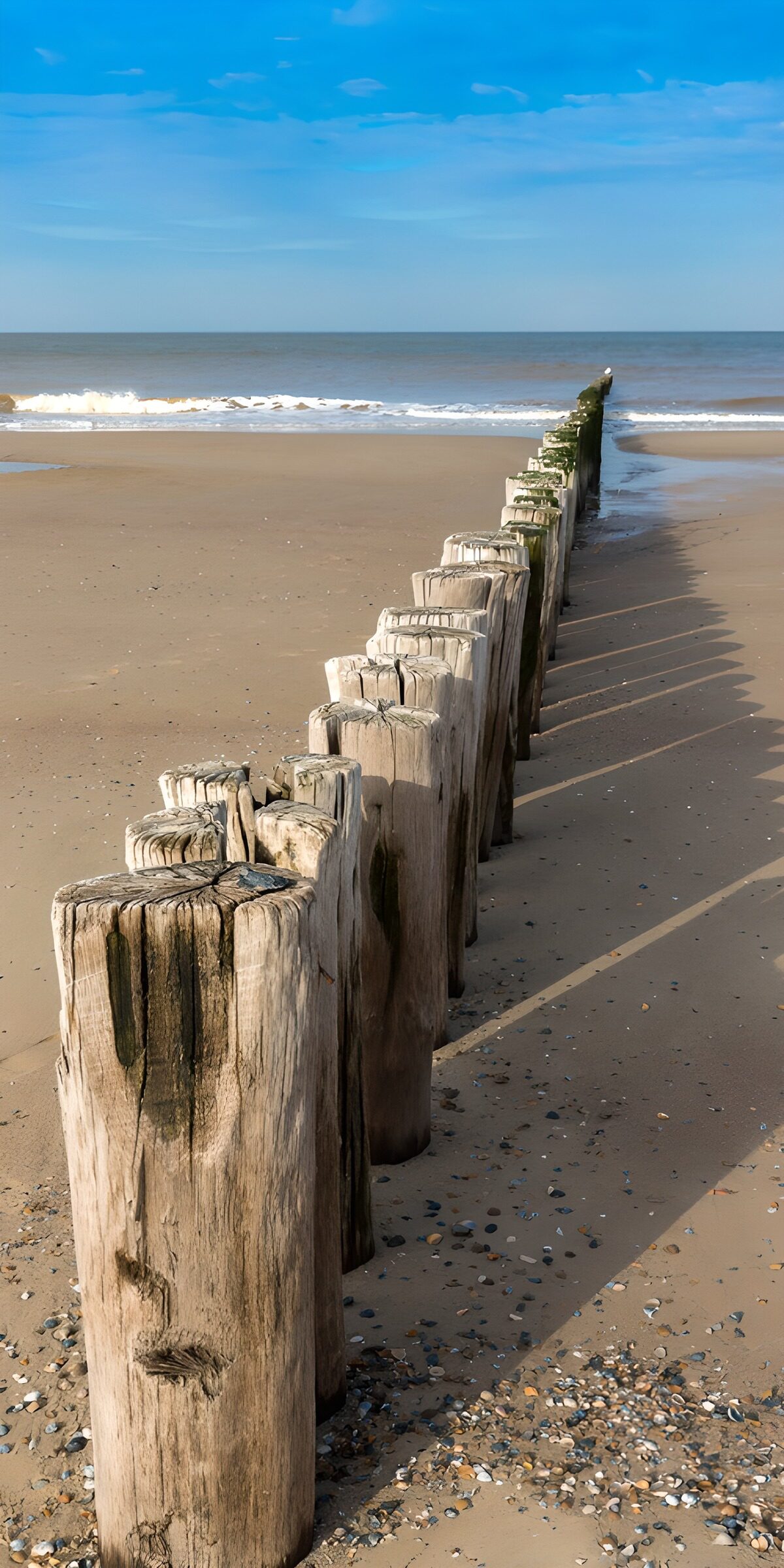 TPDE85621: Holzpfähle am Strand unter blauen Himmel