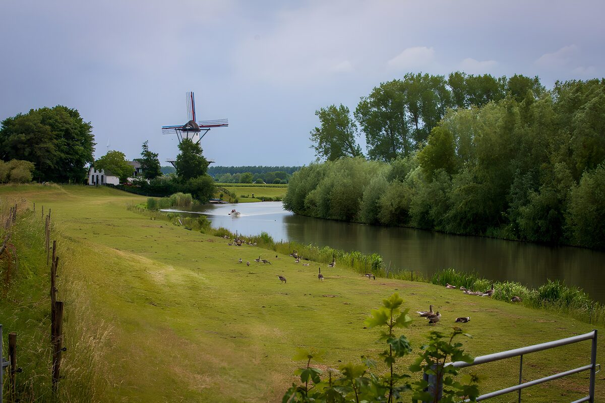TPDE21241: Idylle am Fluss mit Windmühle