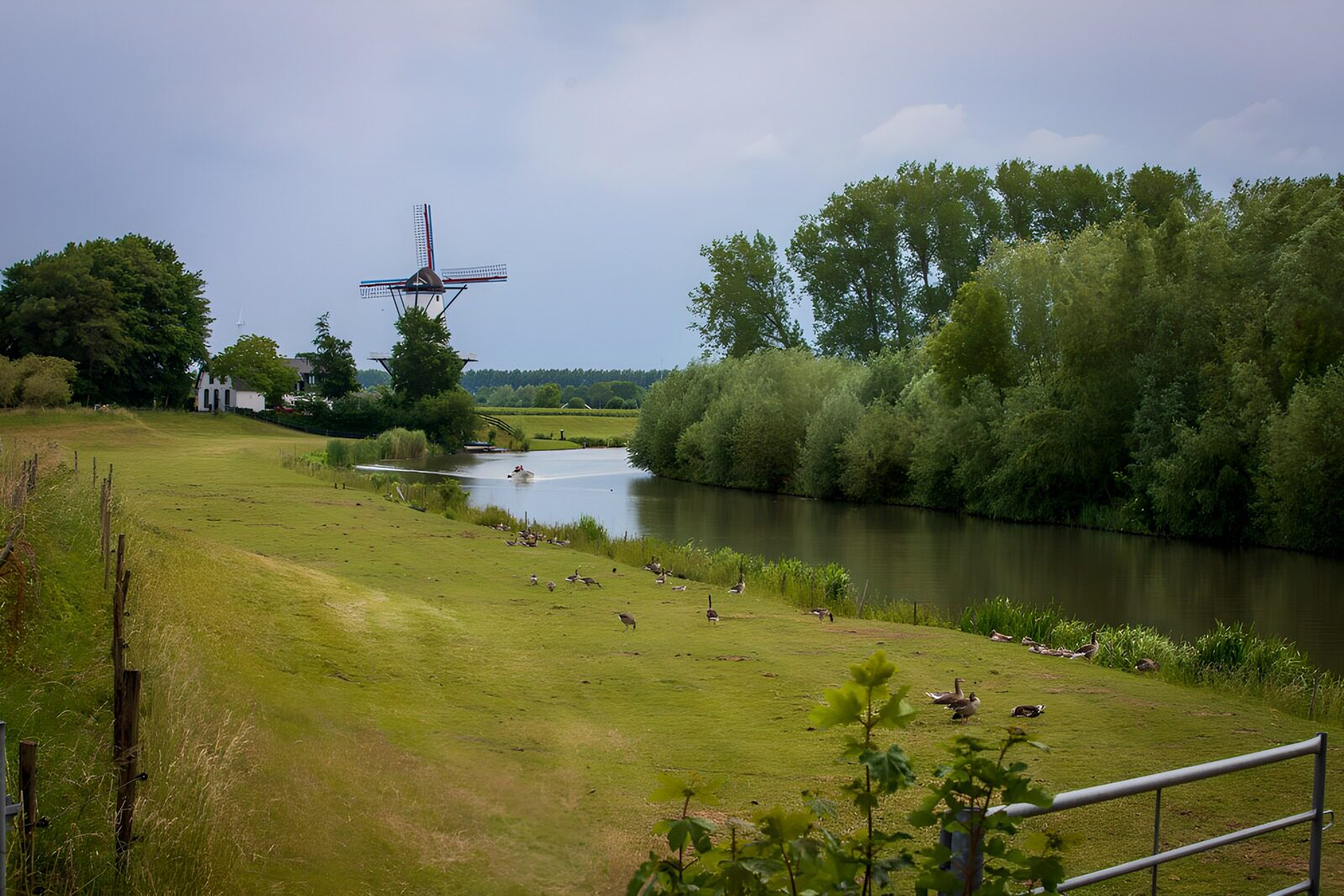 TPDE21241: Idylle am Fluss mit Windmühle