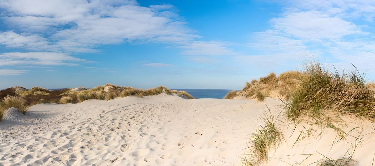 Panoramablick auf die  Dünen und die Nordsee in Zeeland (NL)