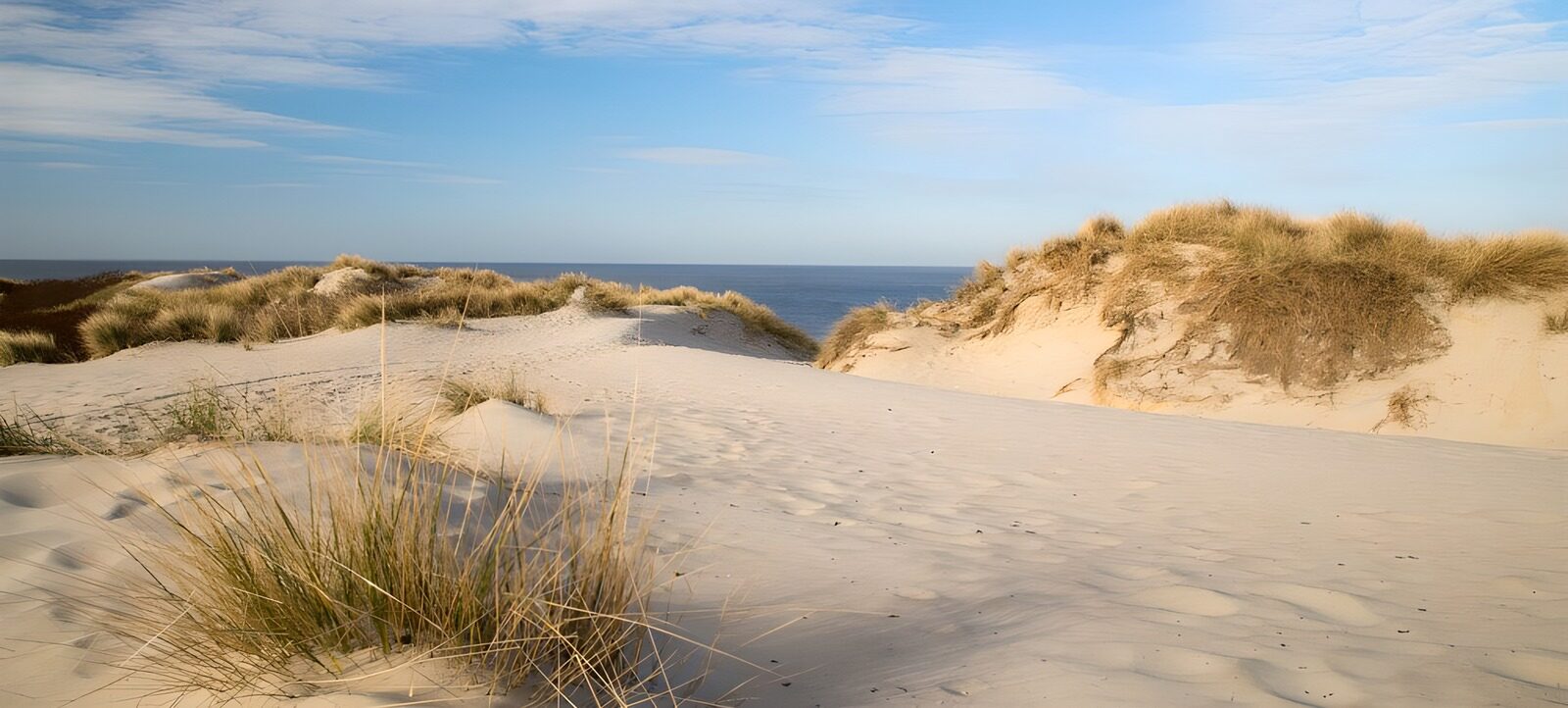 TPDE36680: Sandweg in den Dünen zum Strand