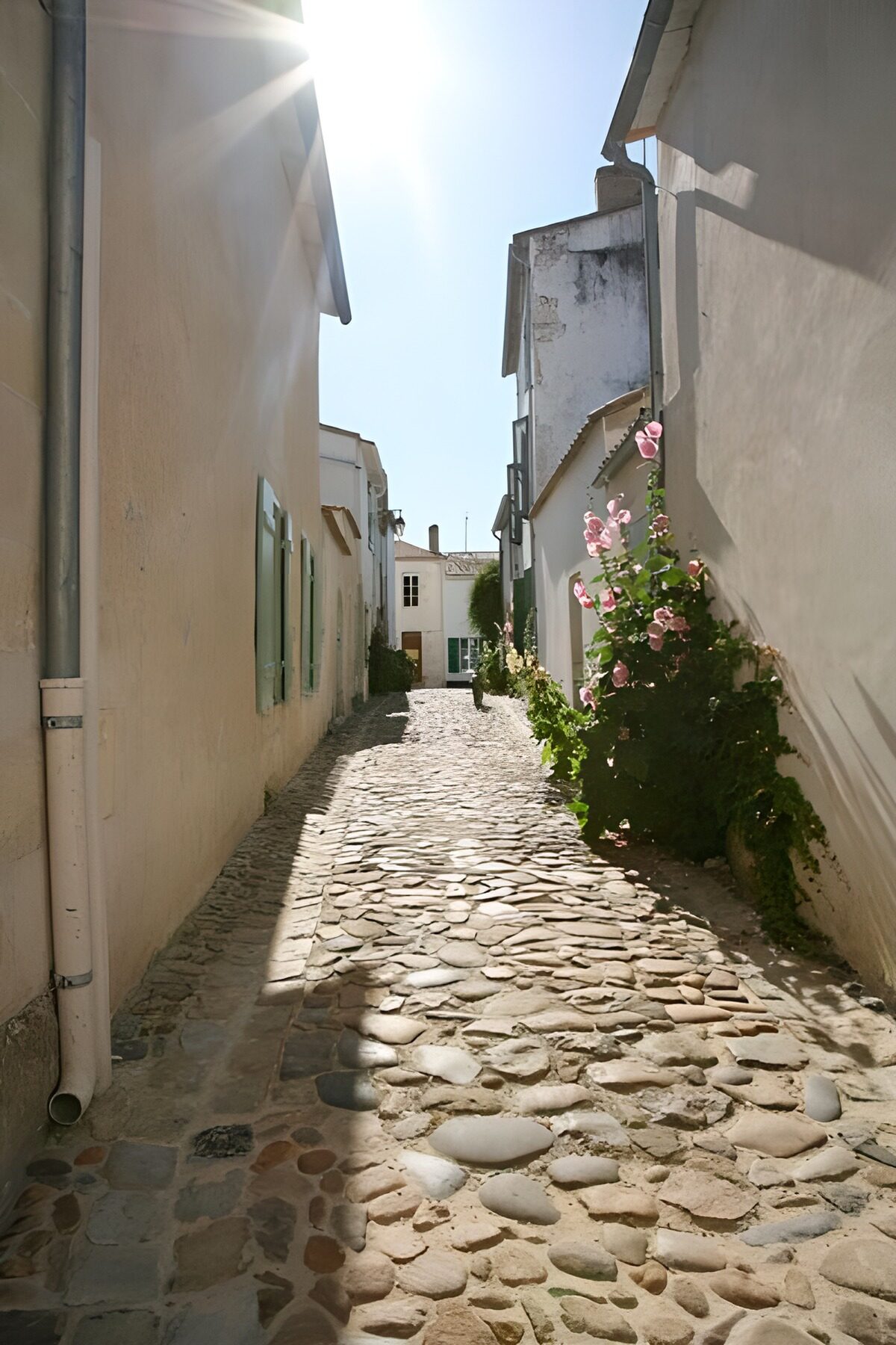 TPDE24527: sonniger Blick auf eine Gasse mit Häusern