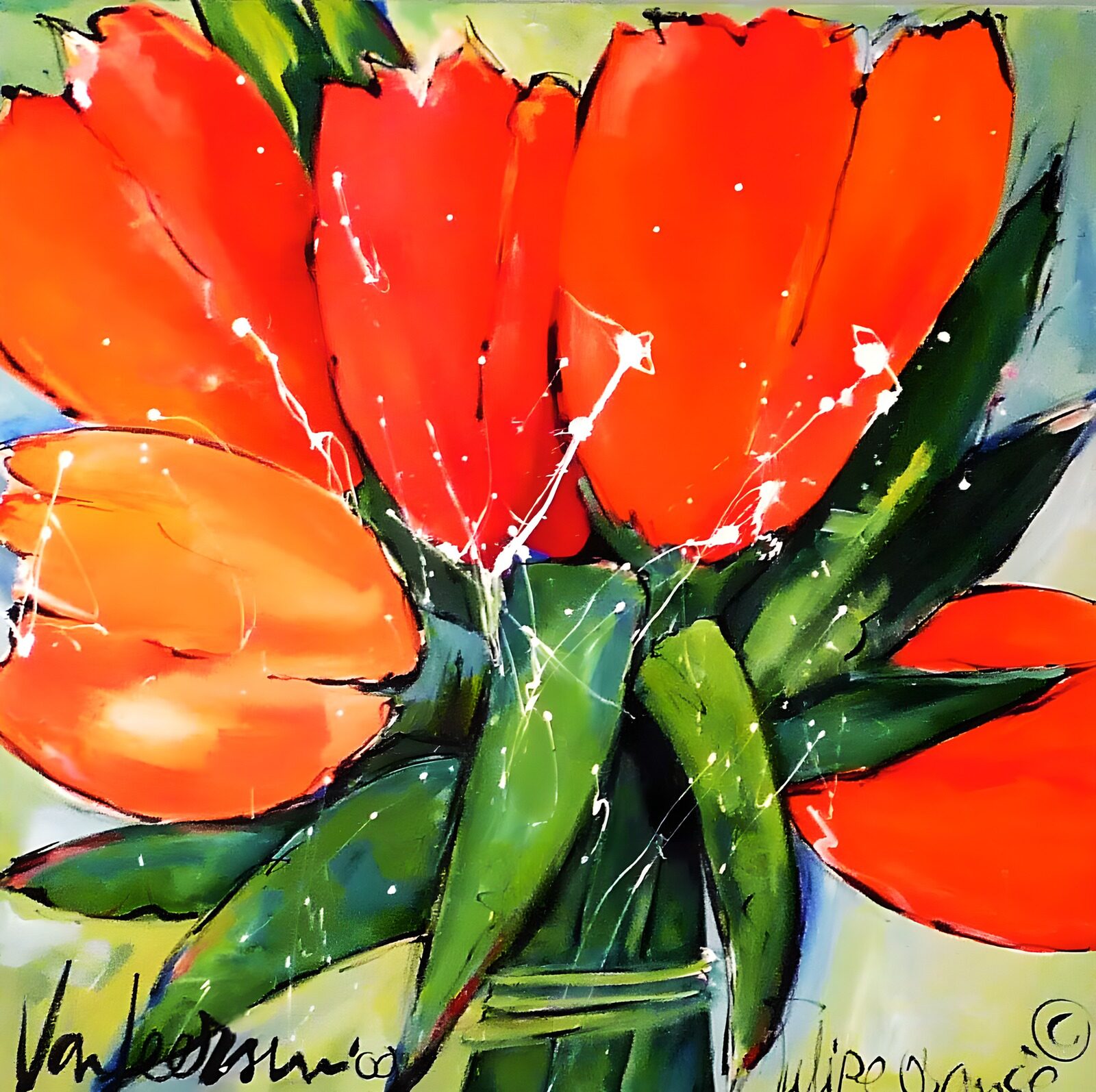 TPDE82332: Strahlende Tulpen im Farbenspiel