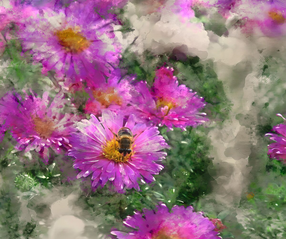 TPDE27839: Bienen auf bunten Blumen im Frühling
