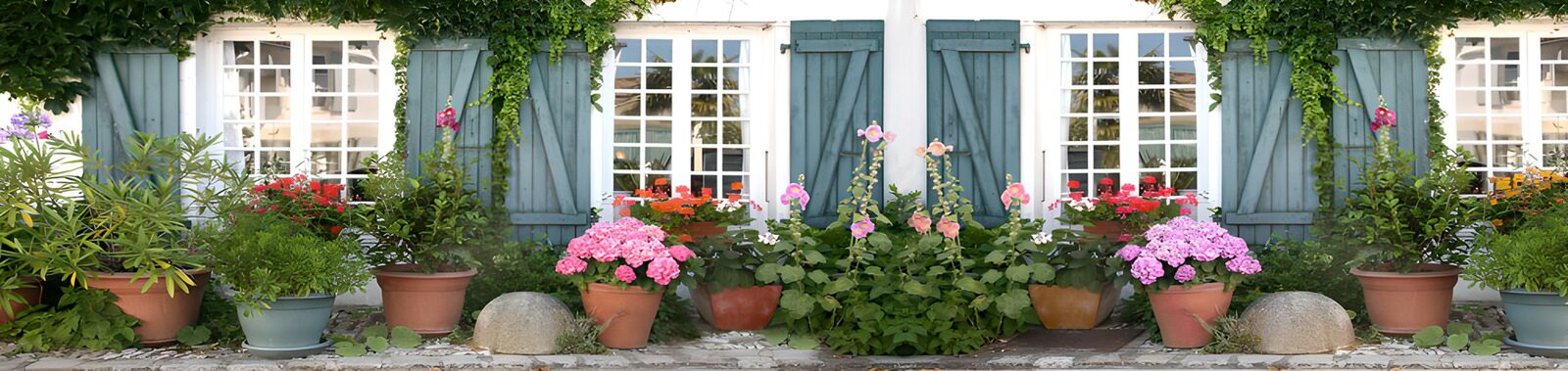 TPDE45768: Blühendes Gartenhaus mit bunten Blumen
