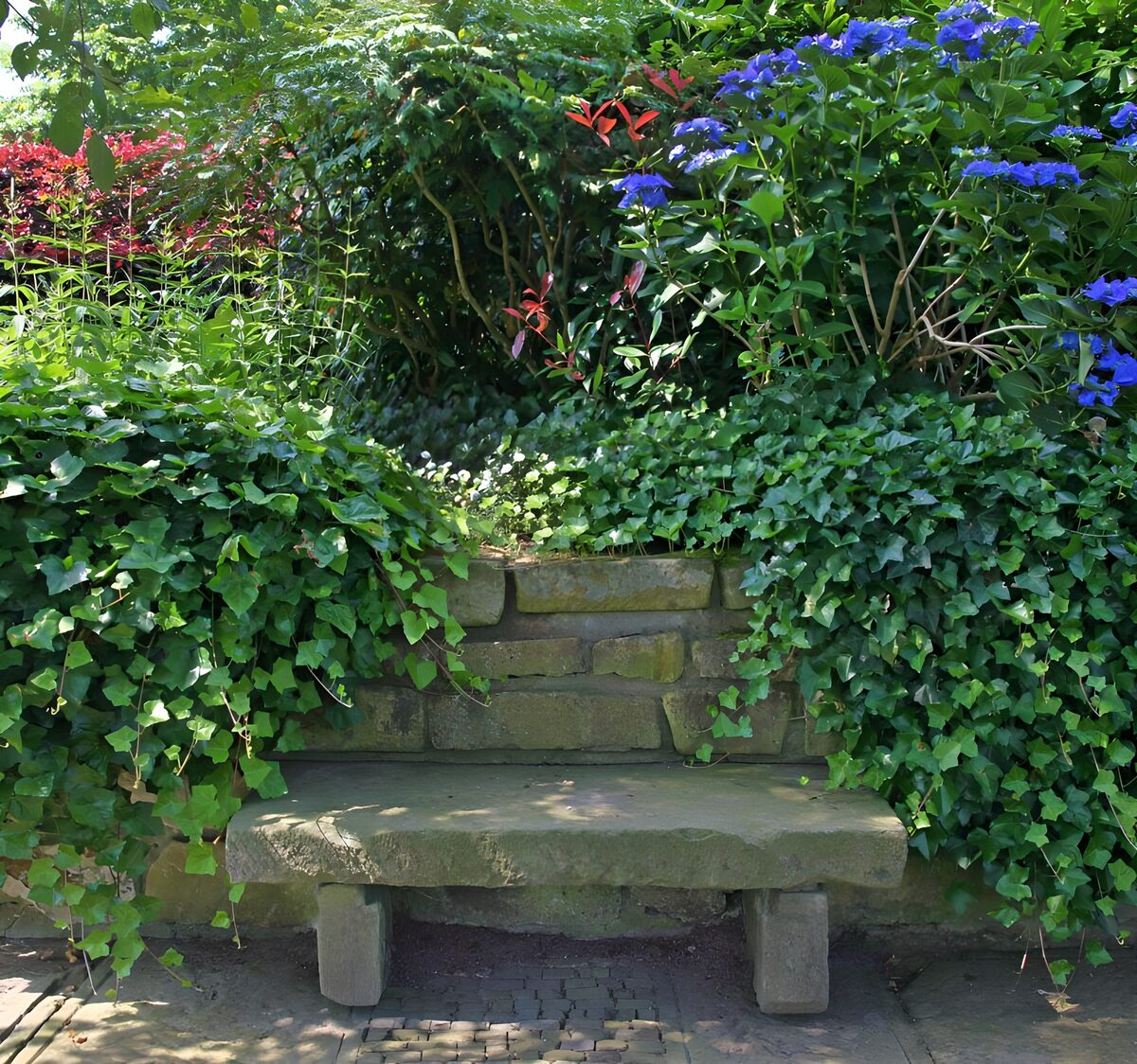 TPDE30602: steinerne Bank unter Efeu und blauen Blüten