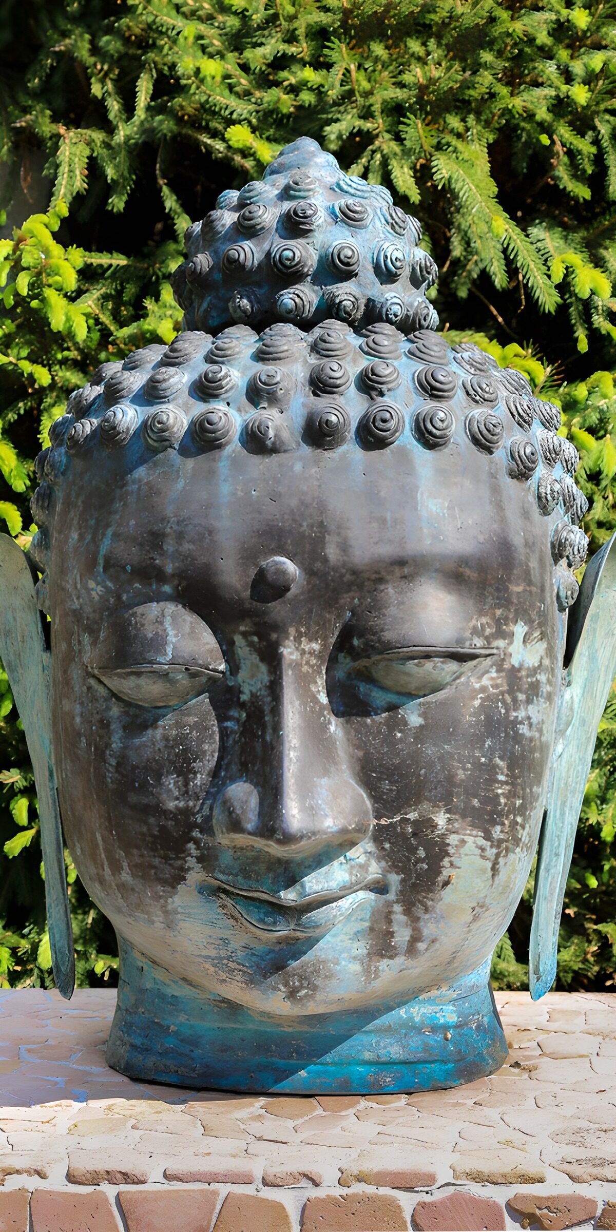TPDE28021: Buddha-Kopf im Garten