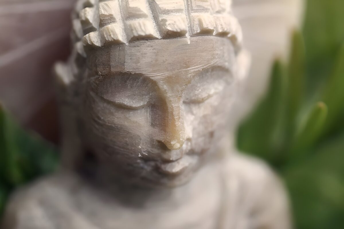  Bild einer Buddha draußen im Grünen