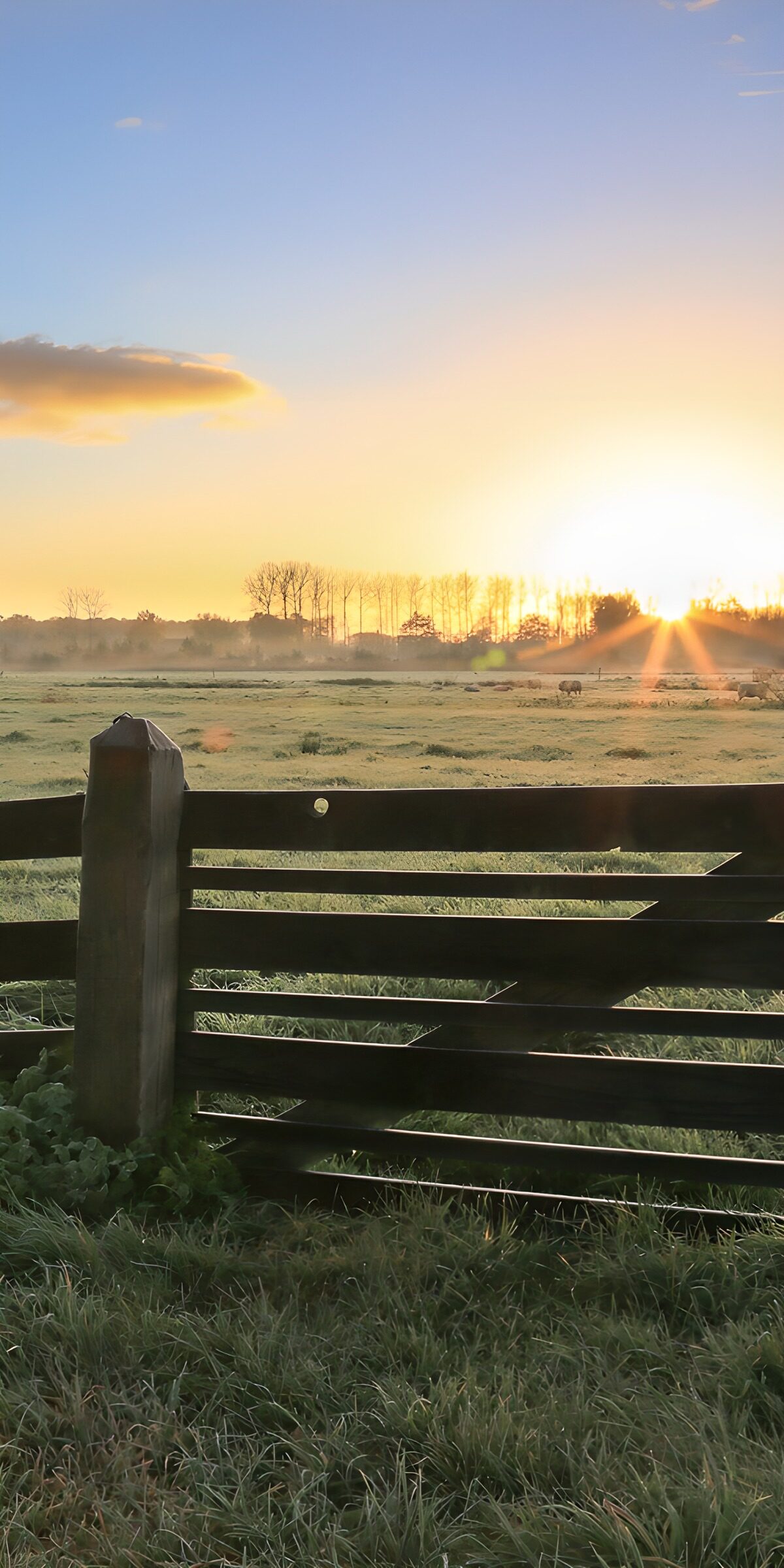TPDE11149: Sonnenaufgang über dem Feld