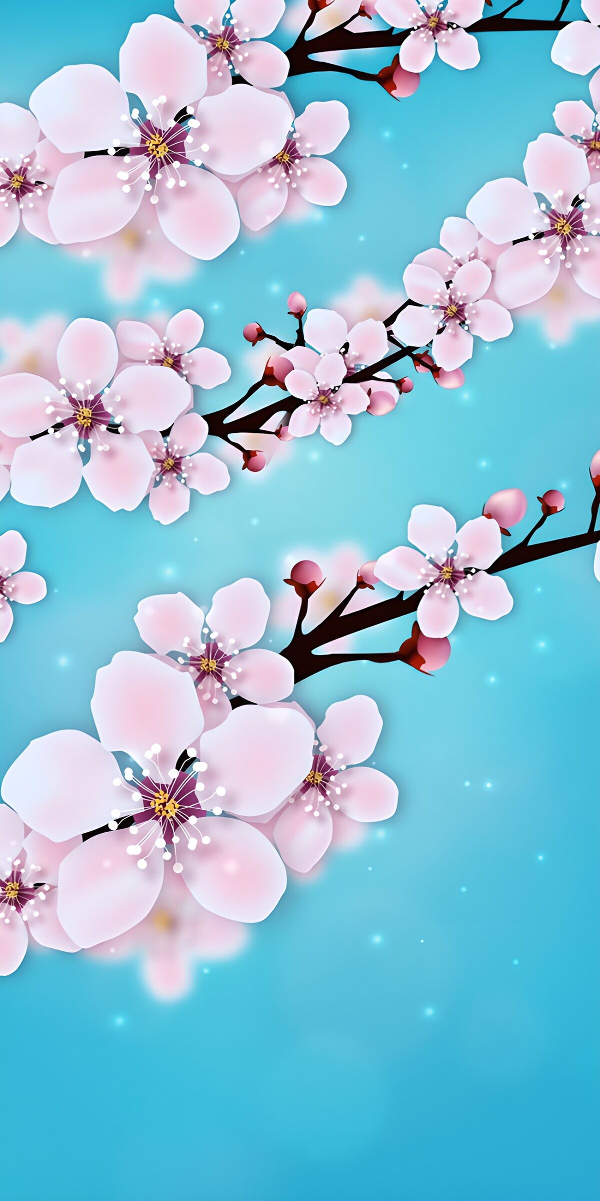 TPDE49091: Blühende Kirschblüten auf blauem Hintergrund