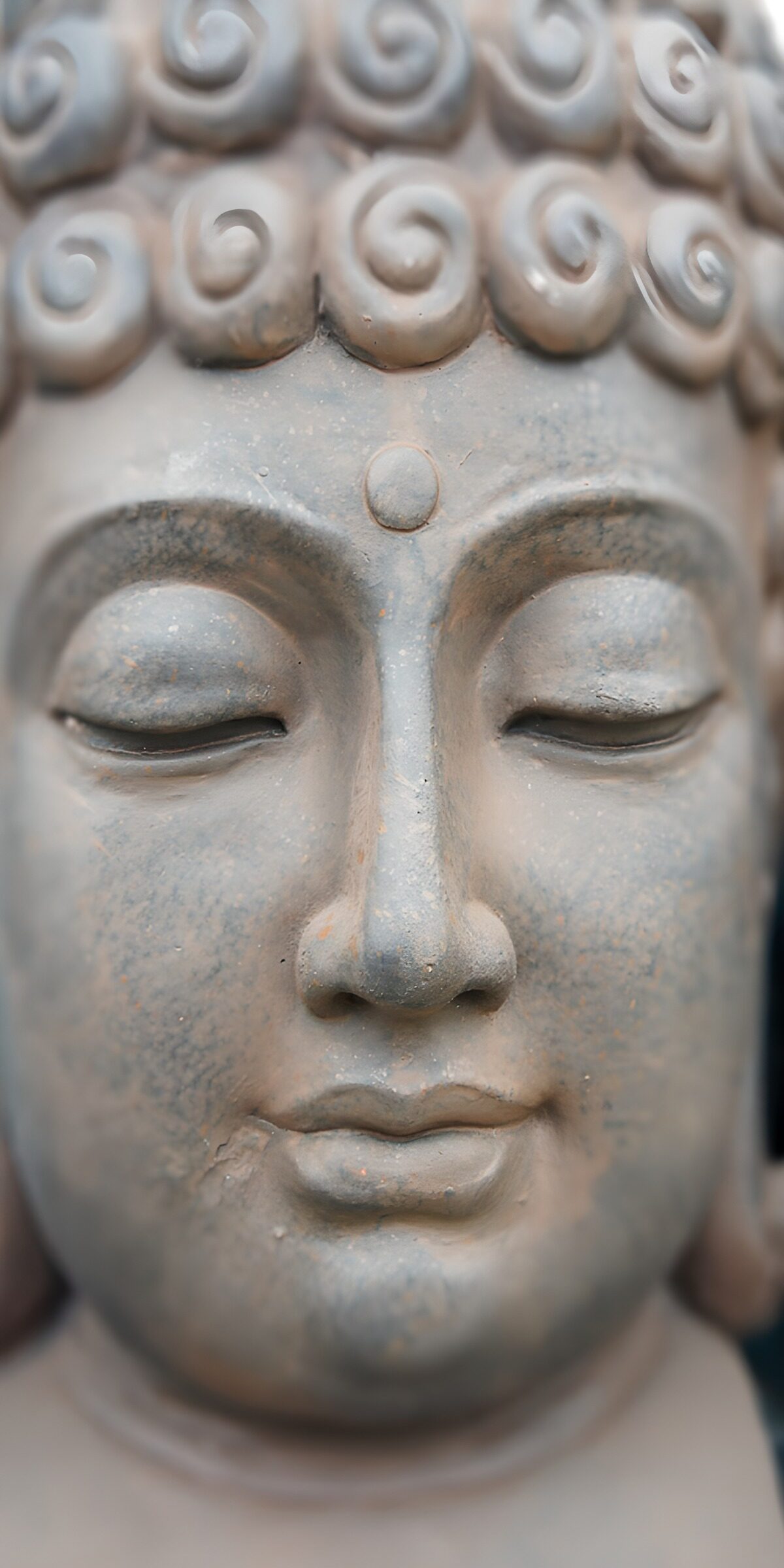 TPDE24637: Buddha-Büste mit ruhigem Ausdruck