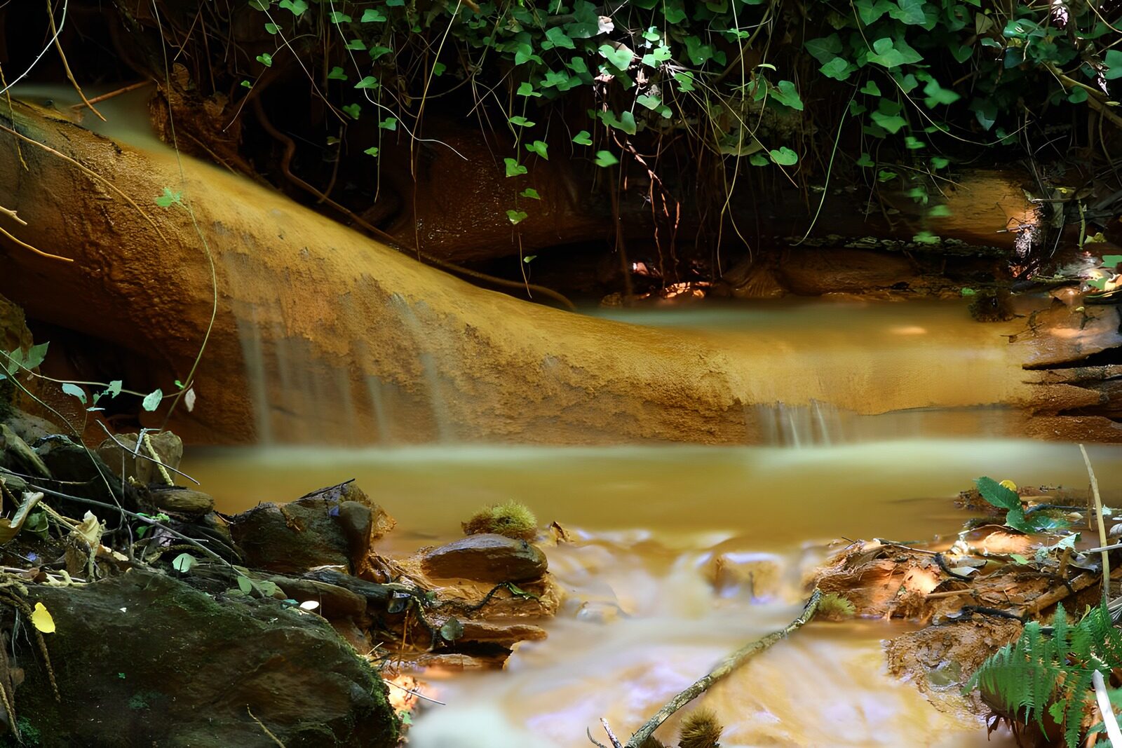 TPDE88575: Baumstamm  vor einem Wasserfall