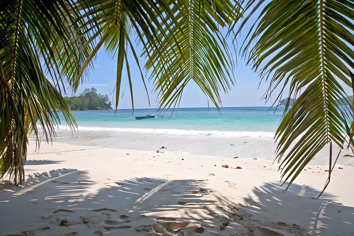 TPDE58539: unberührte Natur an einem Strand in Thailand