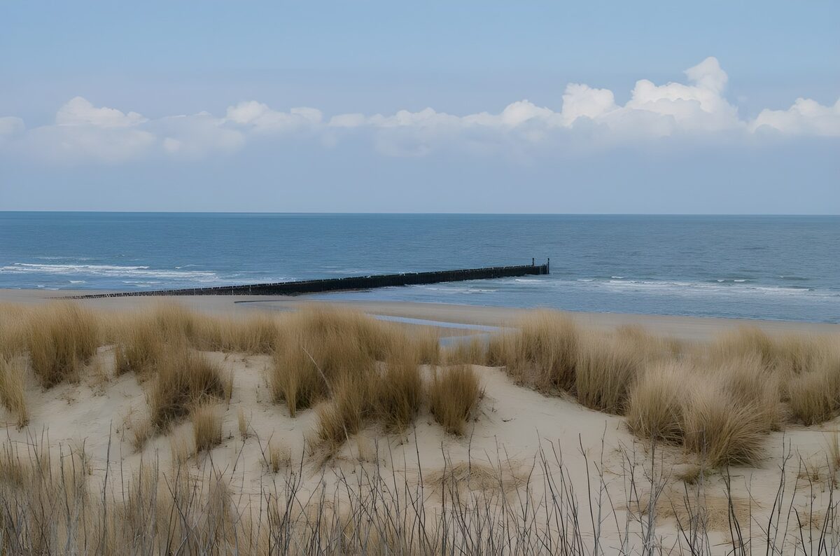 TPDE20367: Blick auf Dünen, Strand und Wellenbrecher