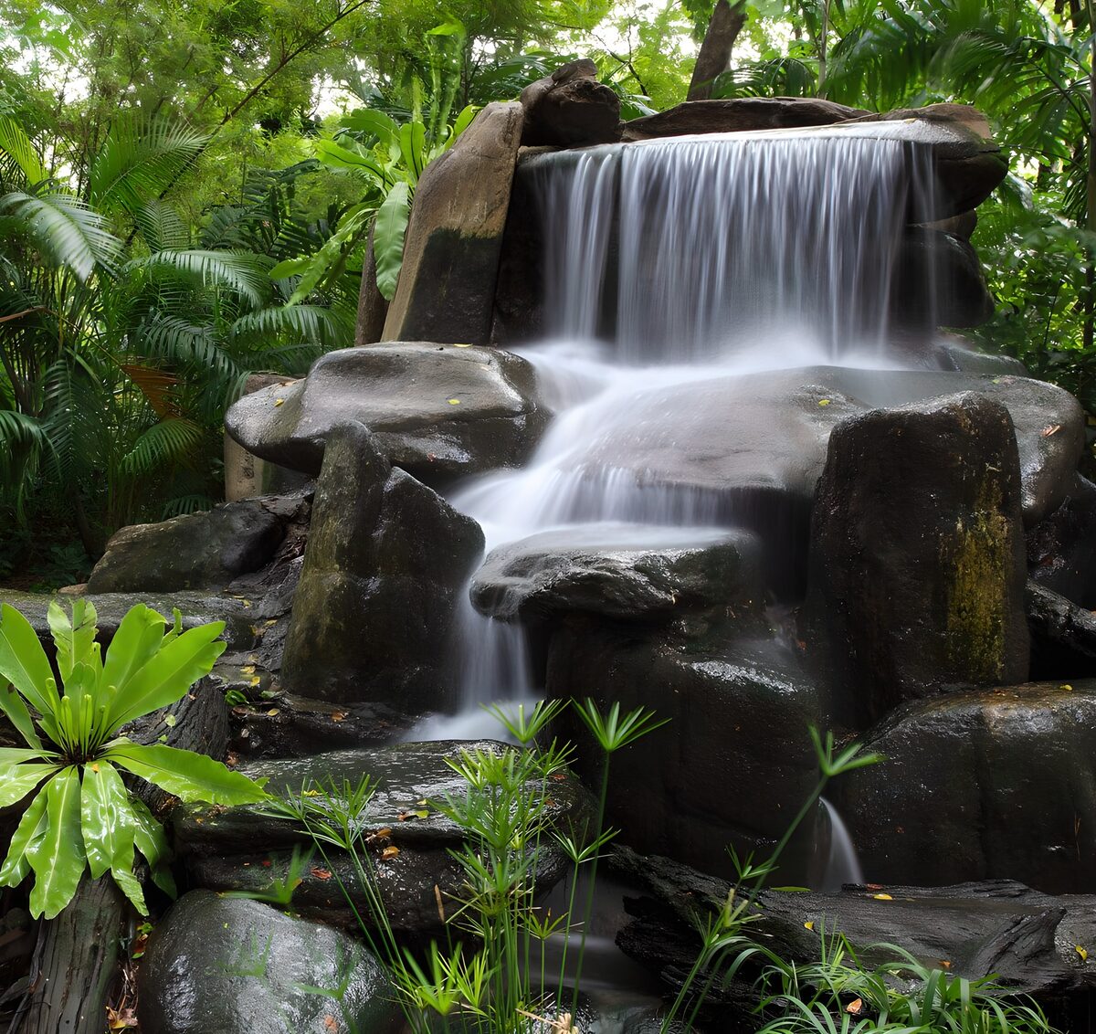 Wasserfall inmitten tropischer Pflanzen