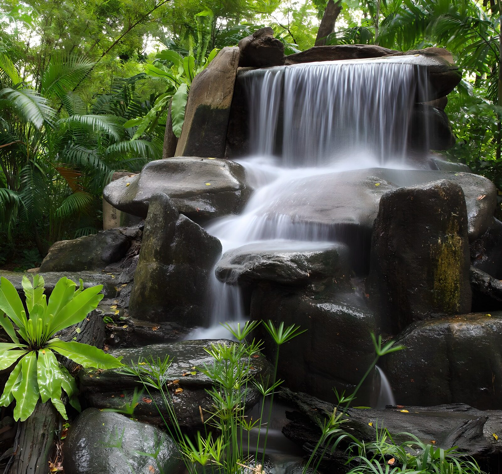TPDE83757: Wasserfall inmitten tropischer Pflanzen