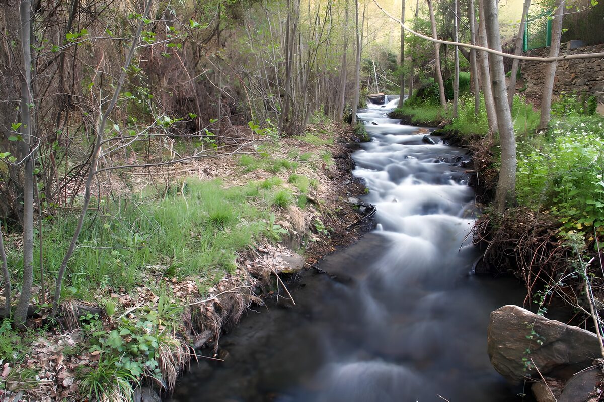 TPDE12964: Stromschnellen in einem Bach im Frühjahr