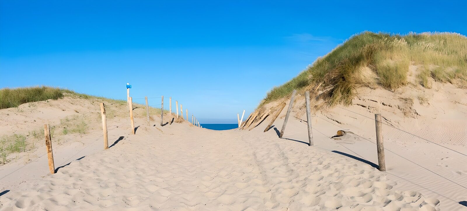 TPDE99736: Sandweg zur Nordsee in Bergen aan Zee (NL)