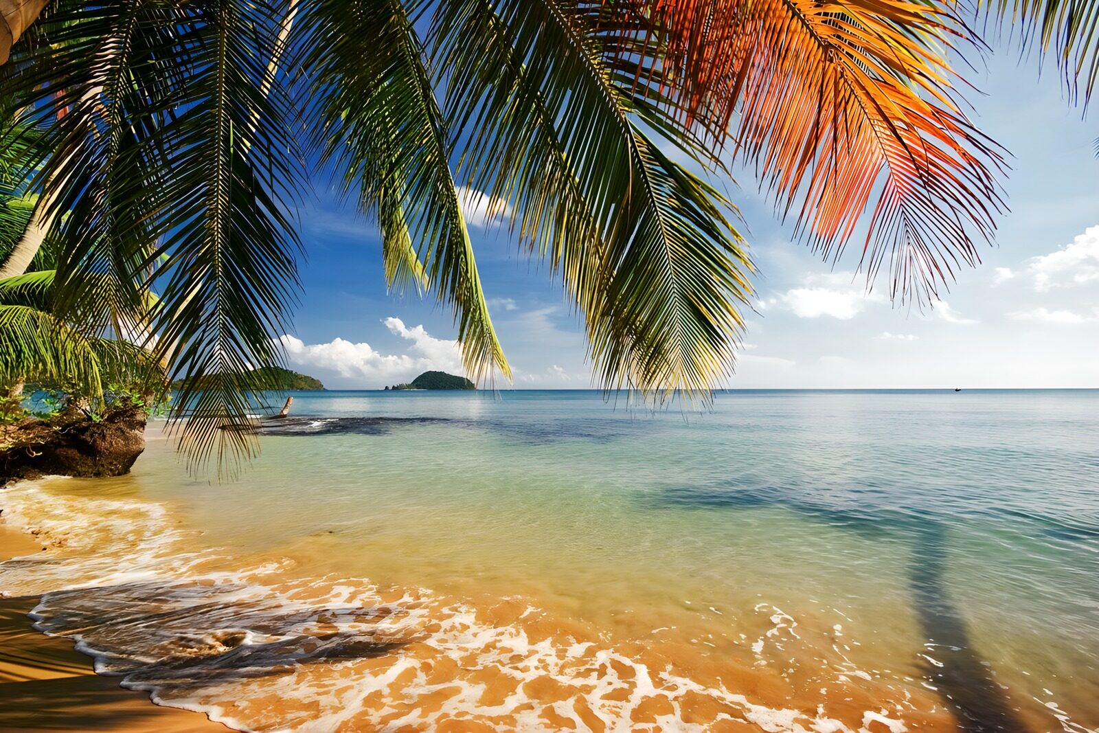 TPDE94443: Tropicaler Strand mit Palmen