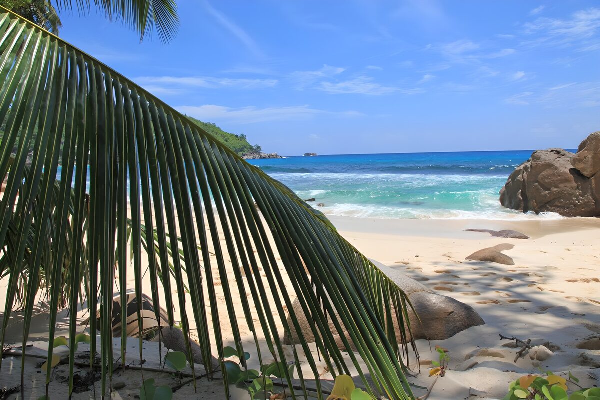 TPDE43043: Geheimtipp Koh Kut