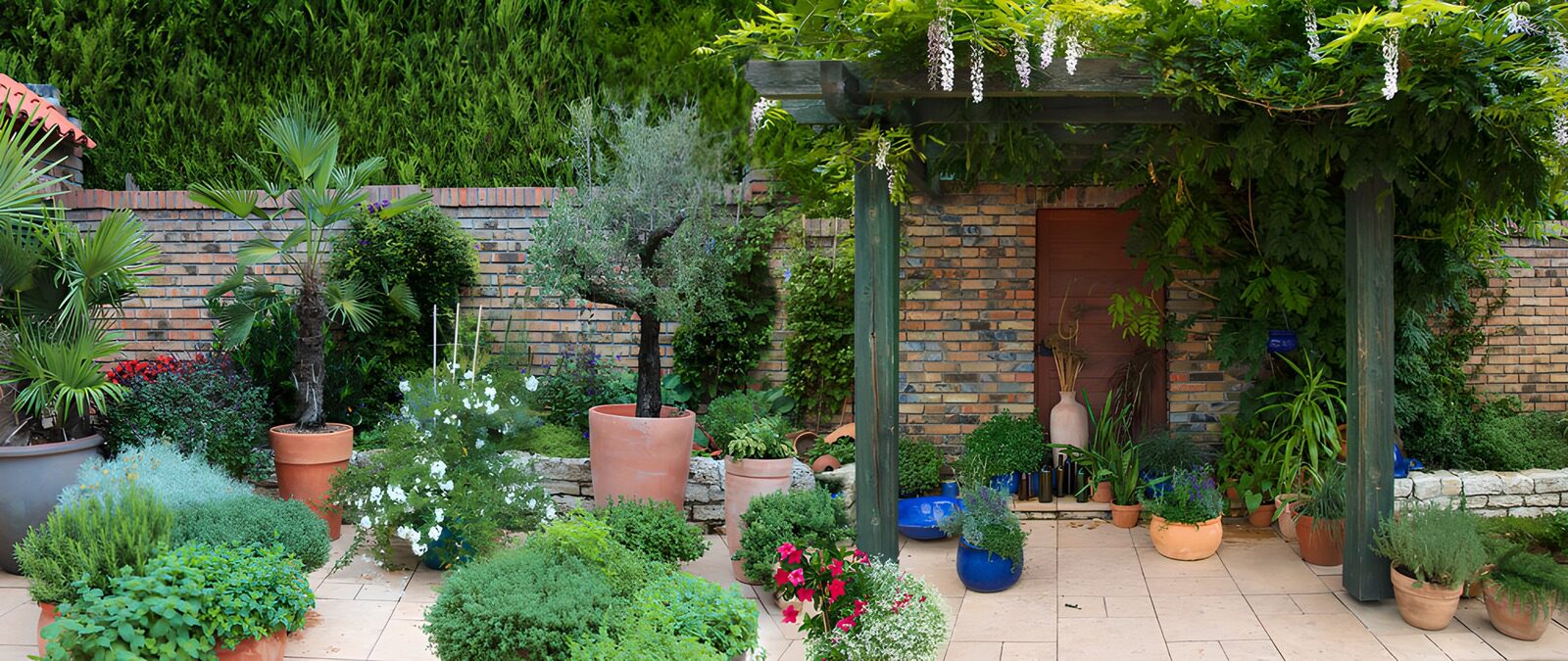 TPDE49935: Ruhiger Garten mit Pflanzenvielfalt
