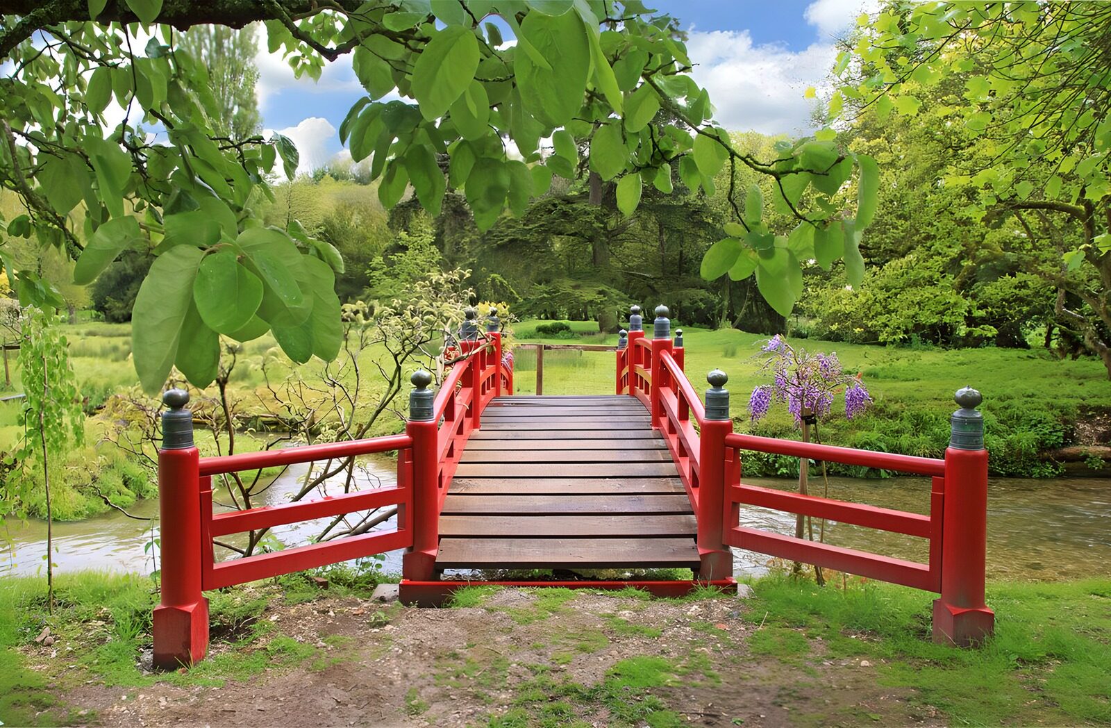 TPDE60133: perfekte Harmonie von Pflanzen, Wasser und Farben in einem japanischen Garten