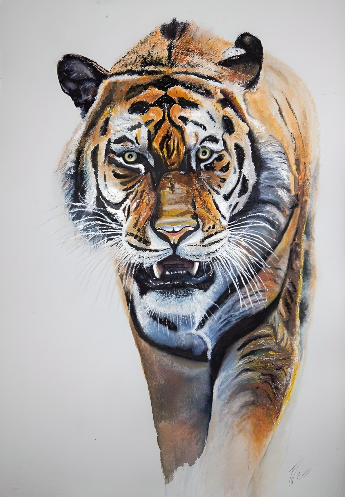 TPDE22101: Majestätischer Tiger im Fokus