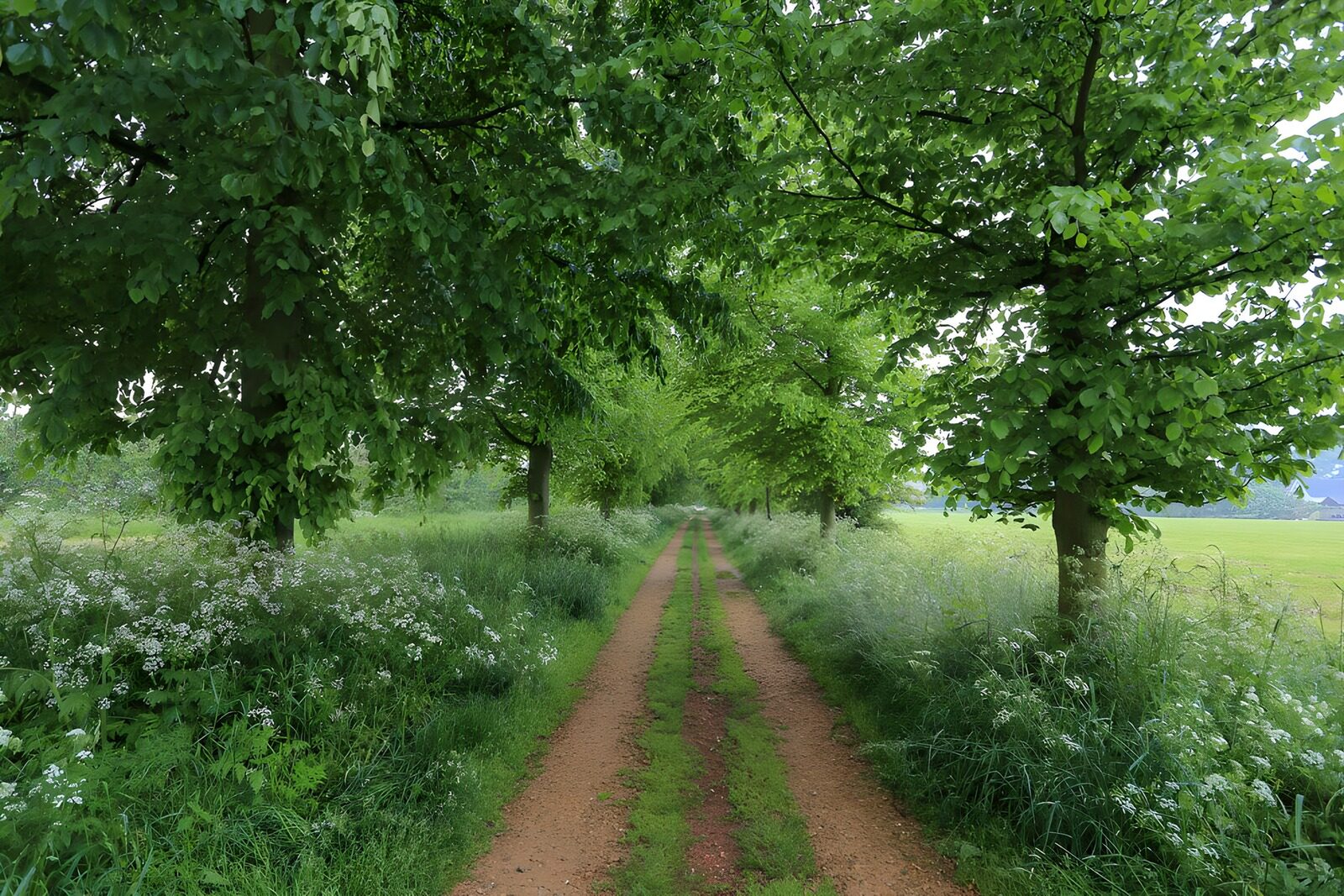 TPDE46403: Grüner Weg durch die Natur