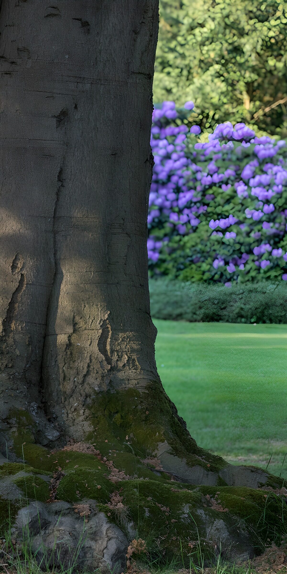 TPDE72654: Baum und blühende Sträucher im Garten