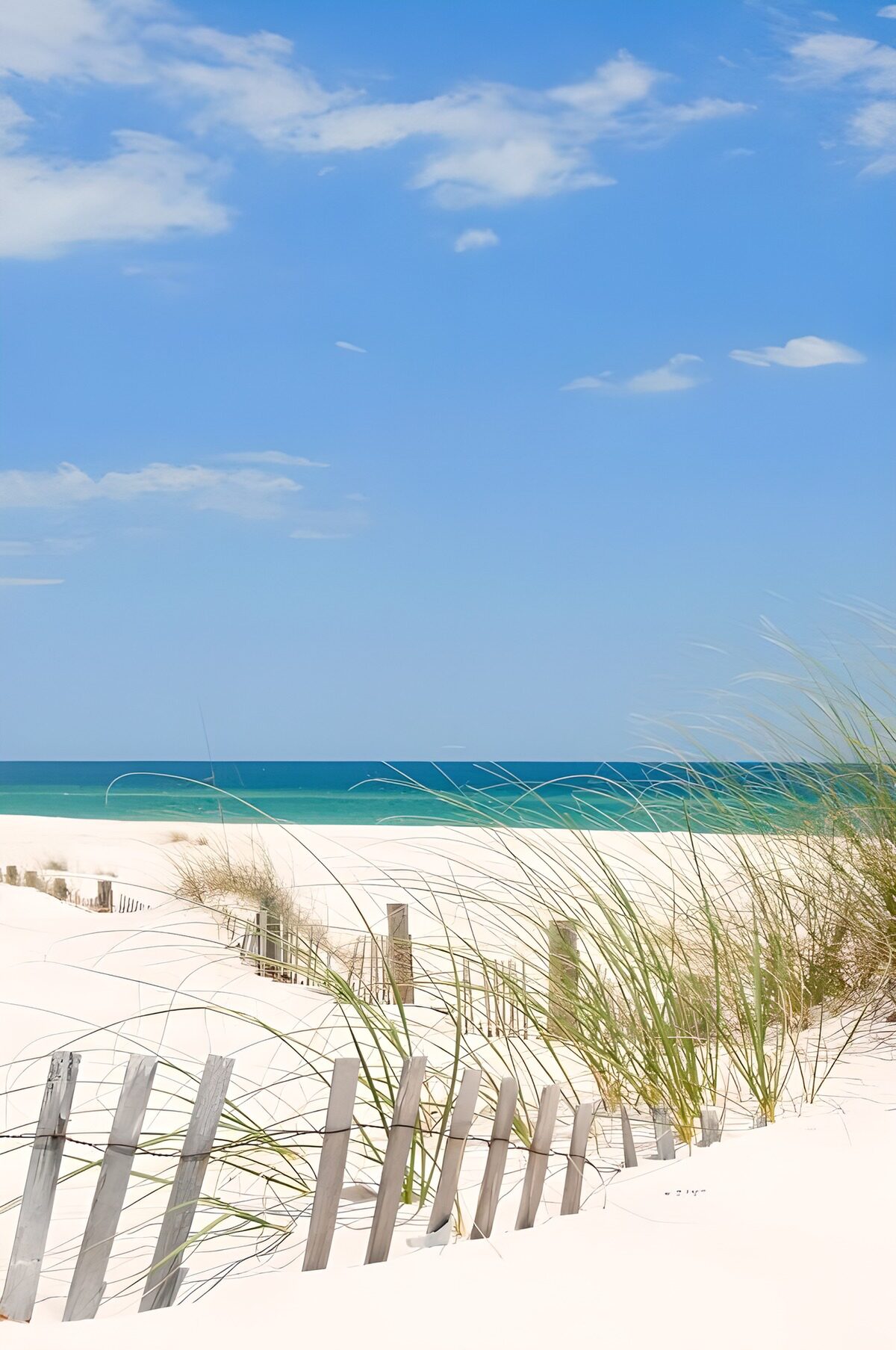 TPDE20438: Puderzuckerstrand und in der Ferne das blaue Meer