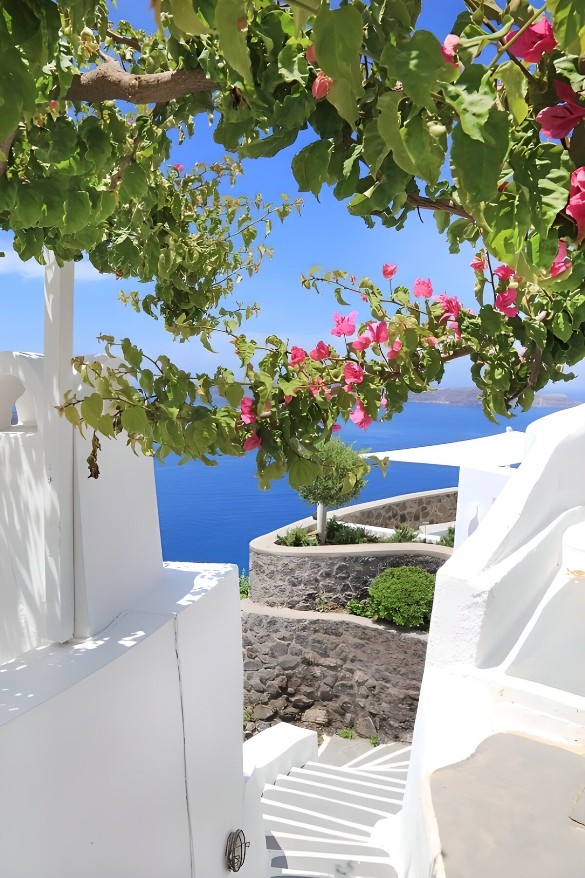 TPDE33463: Blick aufs Meer mit Bougainvillea
