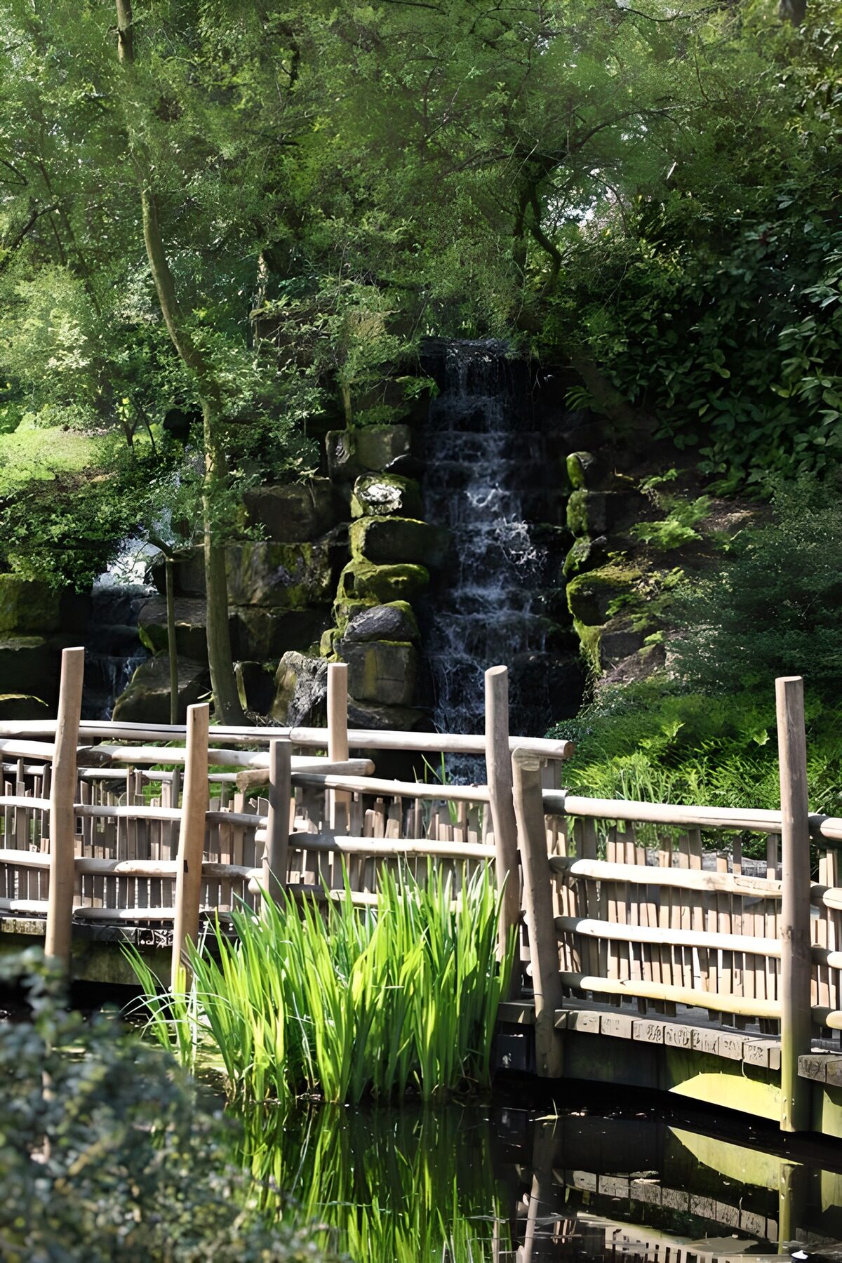 TPDE12145: hölzerne Brücke über einen Teich worin das Wasser eines Wasserfalls stürzt Wasserfall 