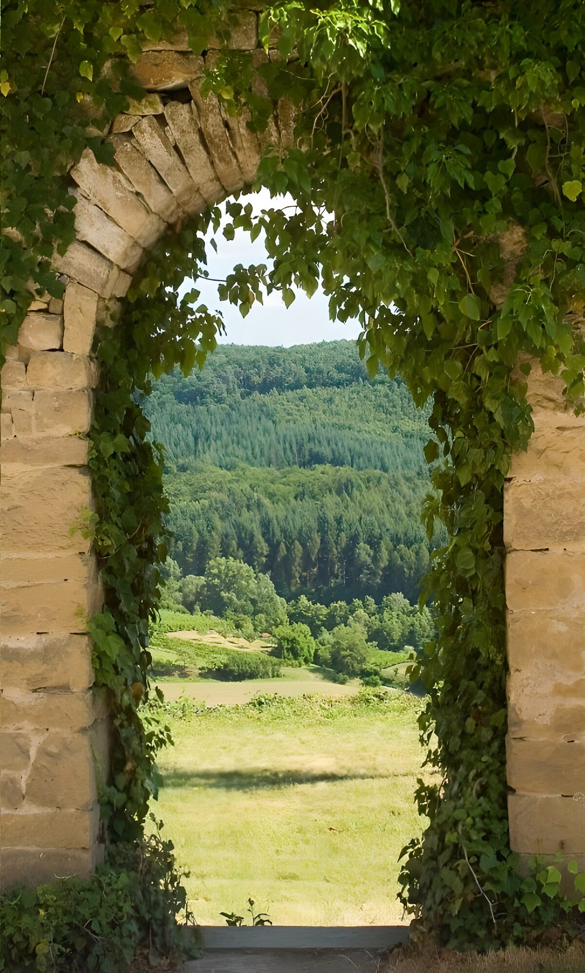 TPDE69622: Blick auf die Hügel der Dordogne