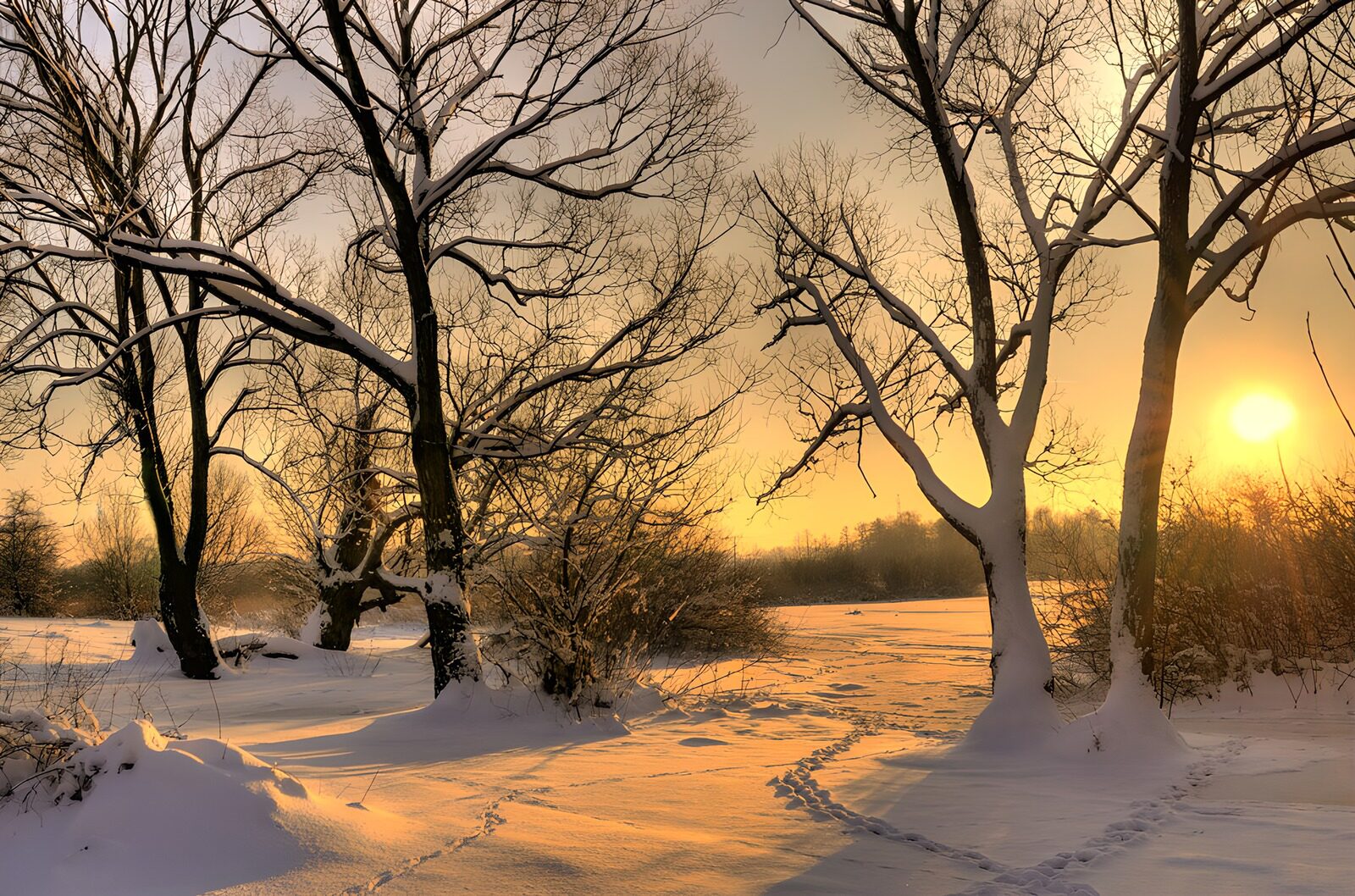 TPDE78940: Wintermorgen im Schnee
