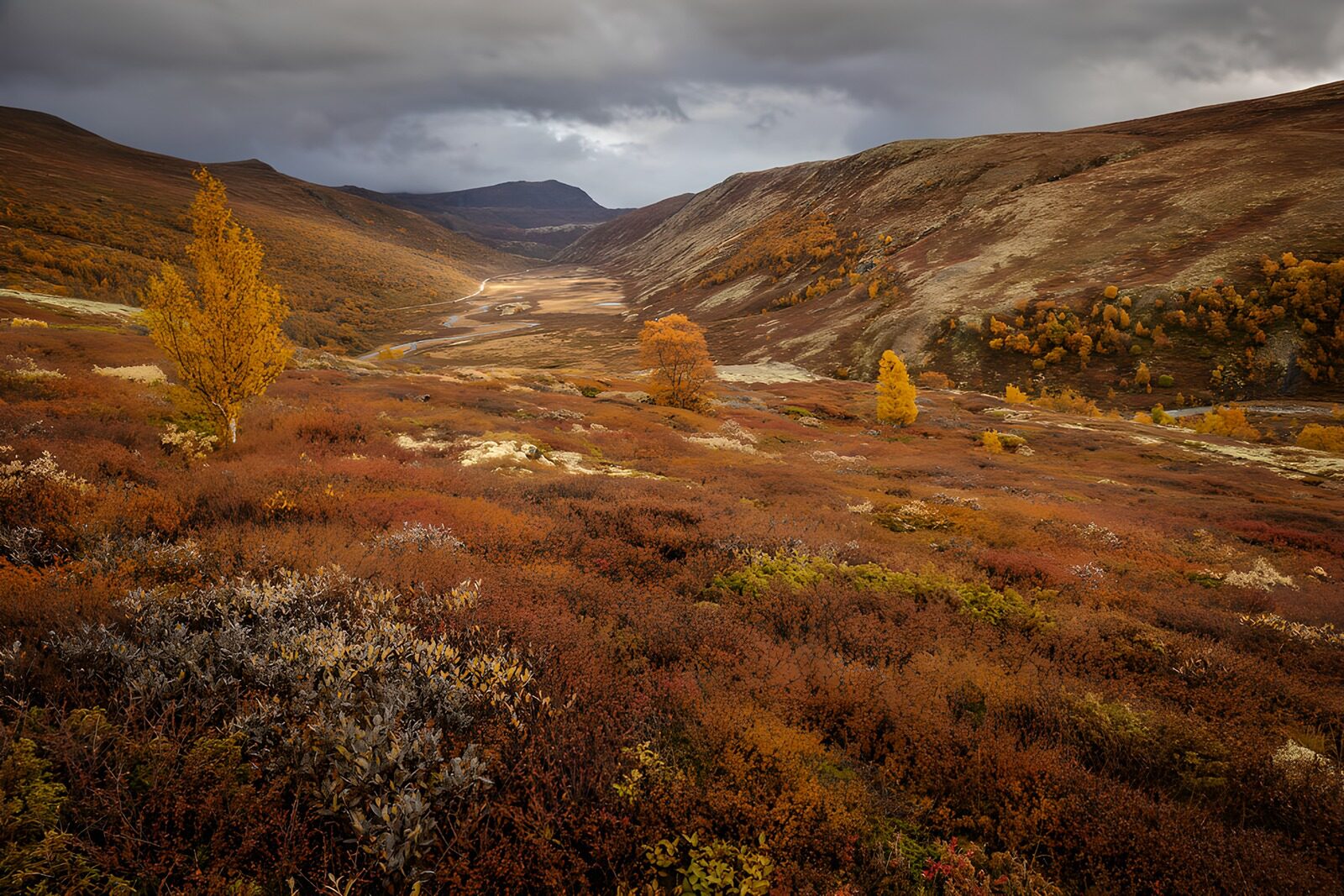 TPDE33730: Herbstliche Landschaft in Norwegen