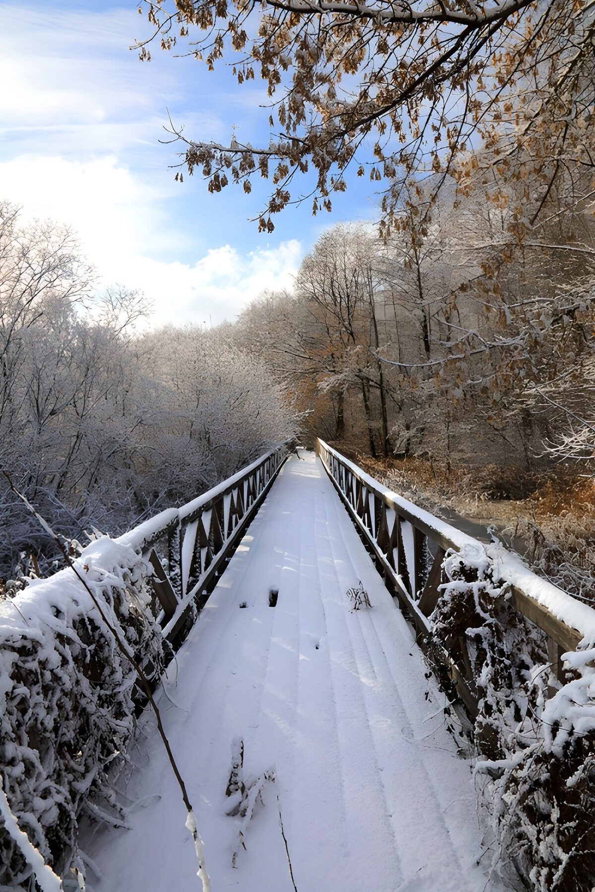 TPDE72728: Winterlicher Holzsteg im verschneiten Wald