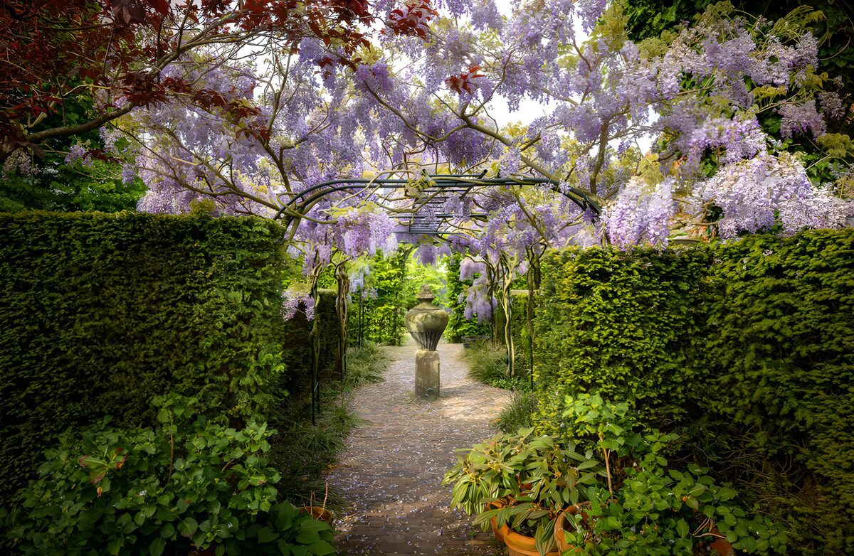 TPDE78341: Wunderschöner blühender Gartenweg