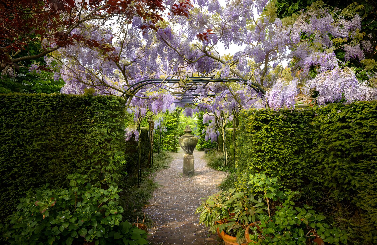 TPDE78341: Wunderschöner blühender Gartenweg