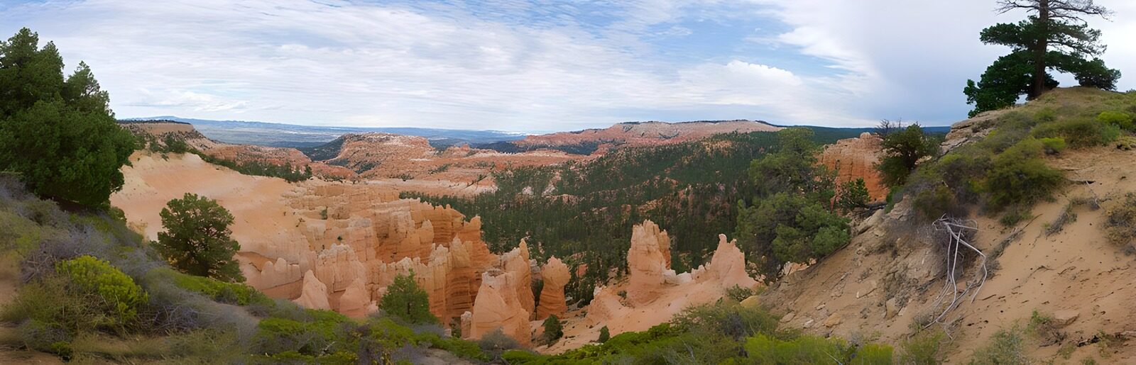 TPDE25629: Blick auf märchenhafte, einzigartige Felsformationen in Bryce Canyon, ein Nationalpark in Utah