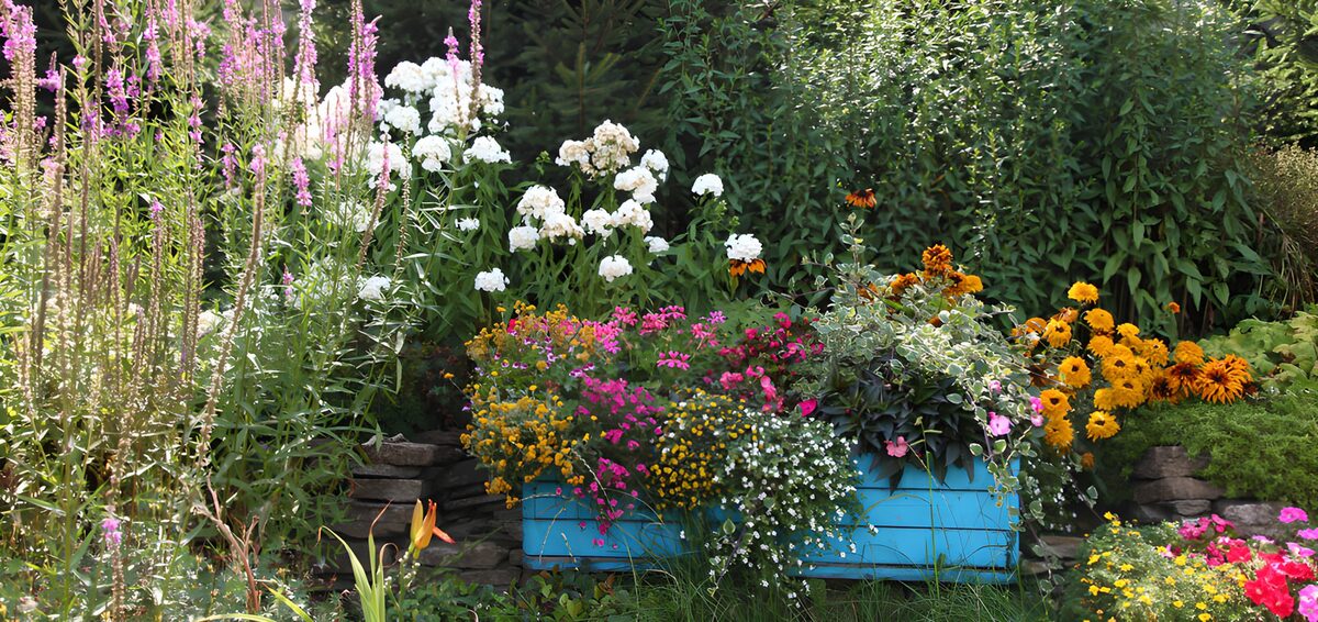TPDE42550: Bunte Blumenpracht im Herbstgarten