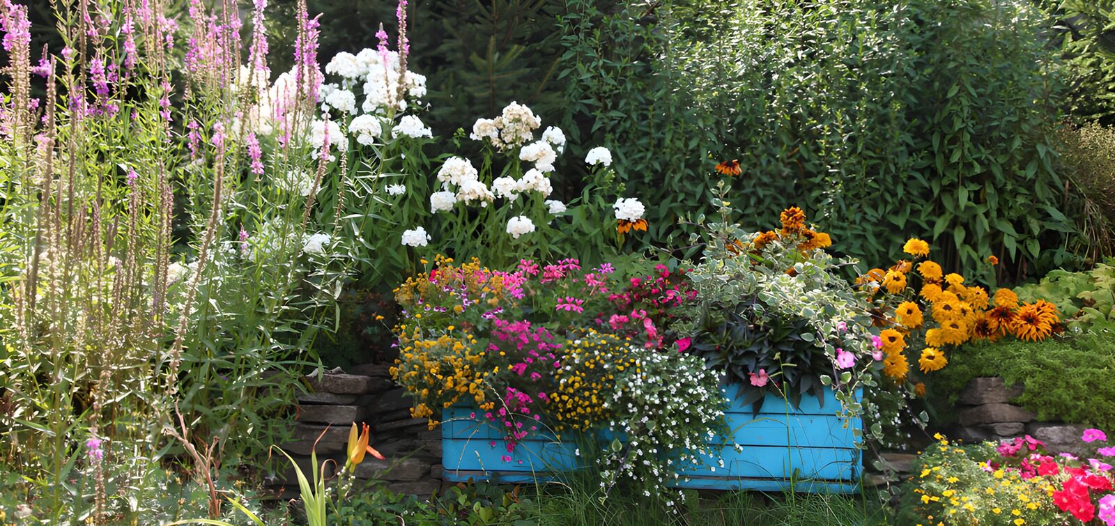 TPDE42550: Bunte Blumenpracht im Herbstgarten
